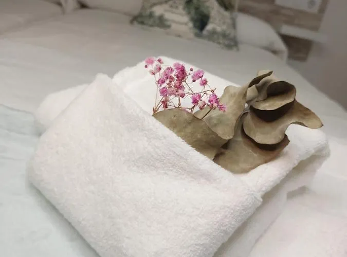 Gallaecia Apartament *